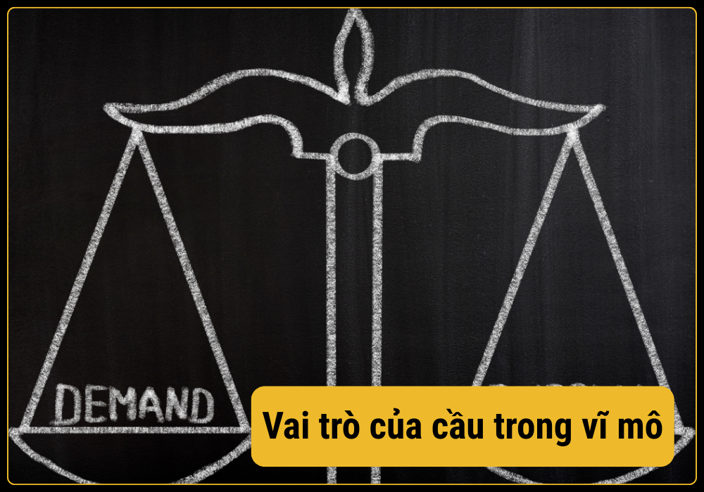 Vai trò của cầu khi phân tích vĩ mô