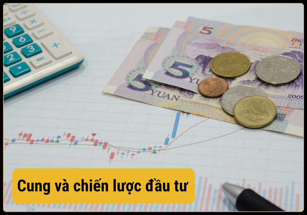 Chiến lược đầu tư của cung