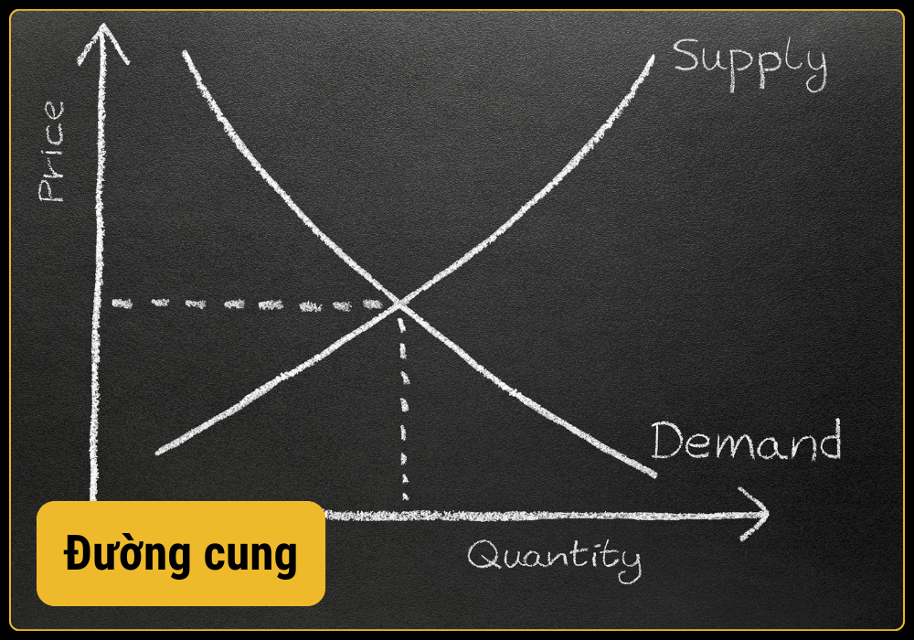 Đường cung