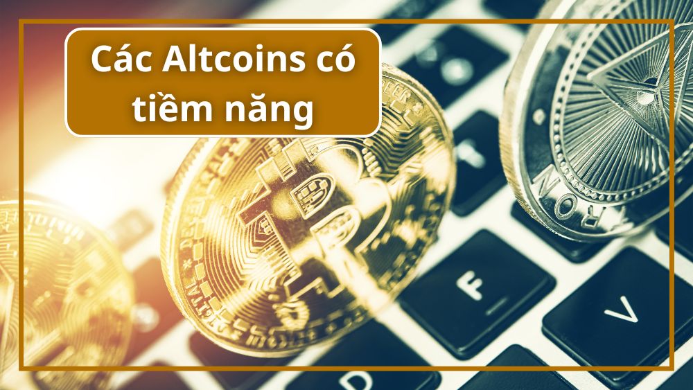 Những Altcoins có tiềm năng dài hạn (2025 trở đi)
