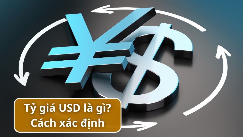 Tỷ giá USD là gì và được xác định như thế nào?