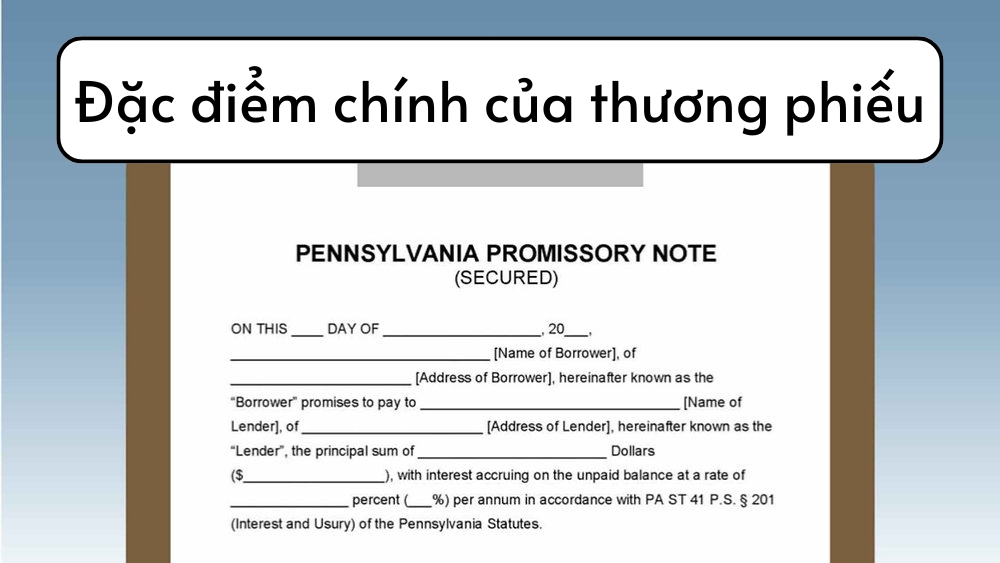 Các đặc điểm chính của thương phiếu