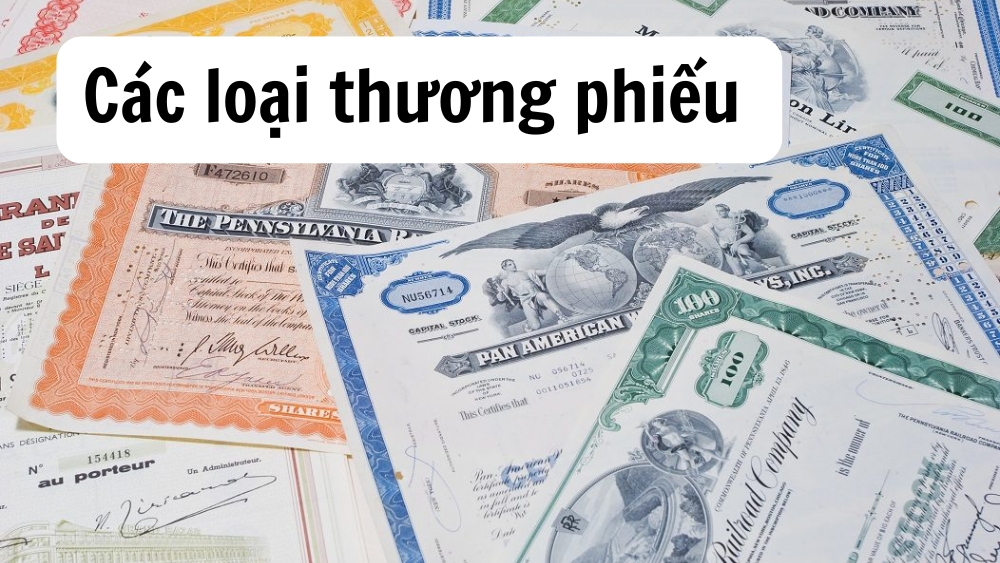 Các loại thương phiếu phổ biến