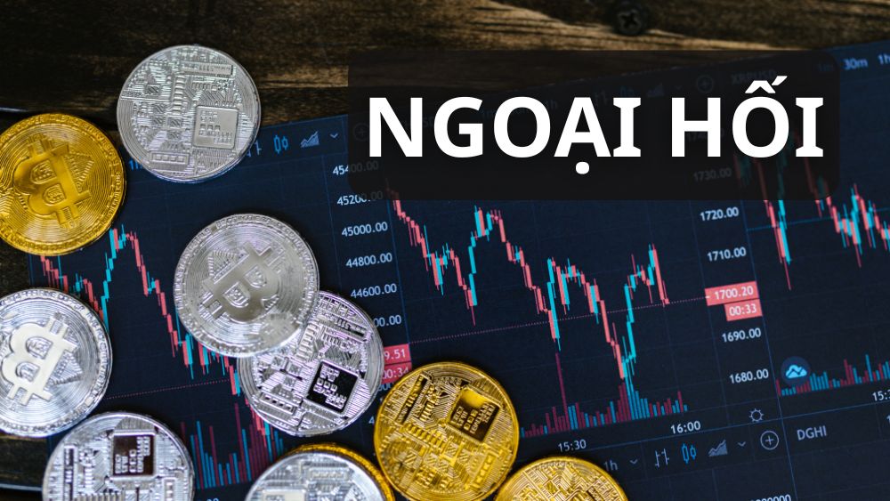 Các tham gia viên chính trong thị trường ngoại hối