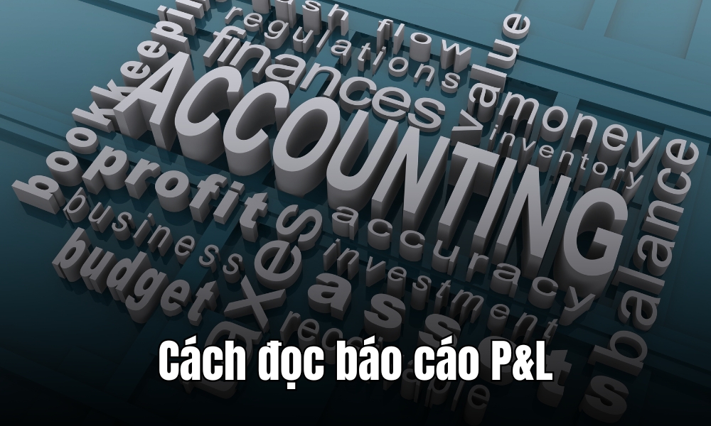 Cách đọc báo cáo P&L từng bước