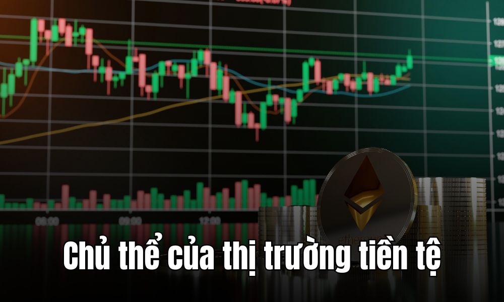 Chủ thể tham gia vào thị trường tiền tệ