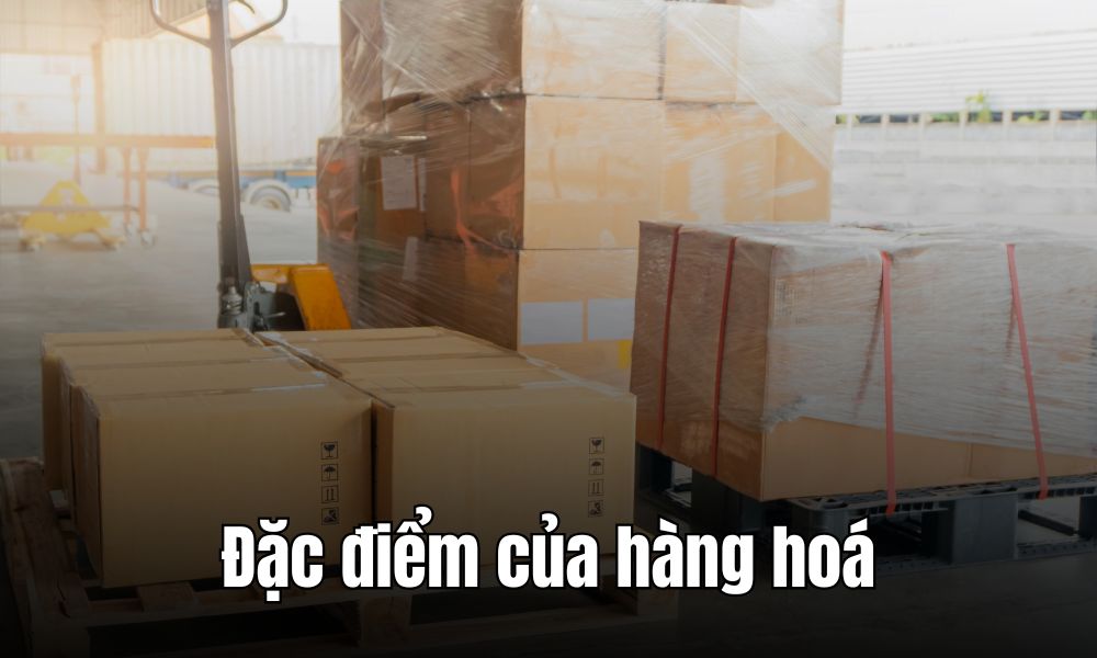 Đặc điểm chính của hàng hoá