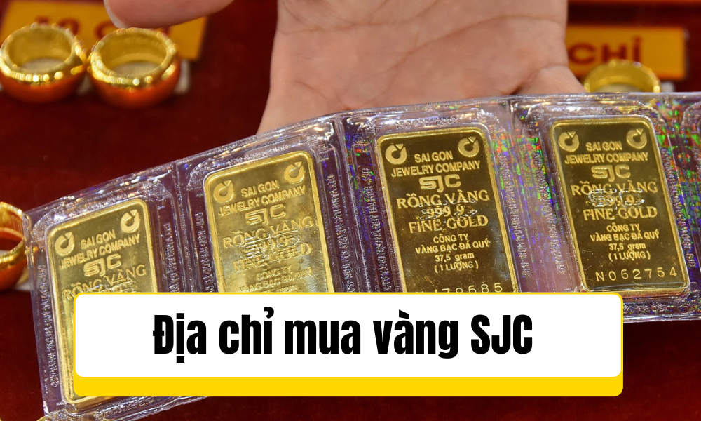 Gợi ý dịa chỉ mua vàng SJC
