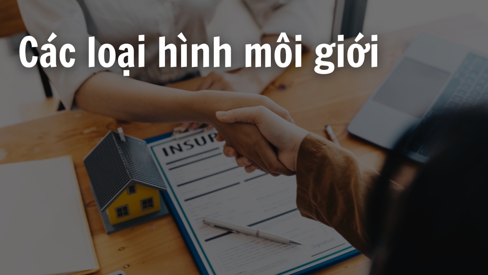 Phân loại các loại hình môi giới phổ biến