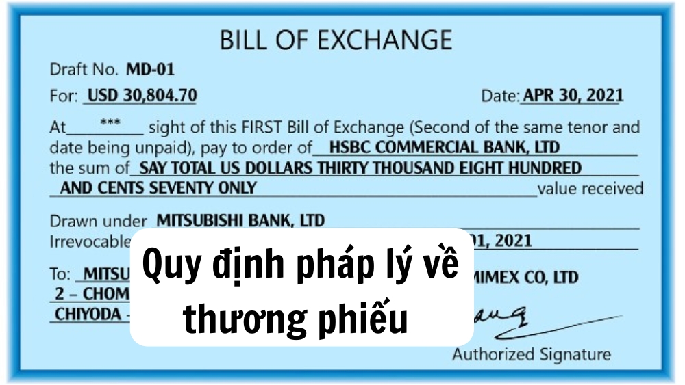 Quy định pháp lý về thương phiếu tại Việt Nam