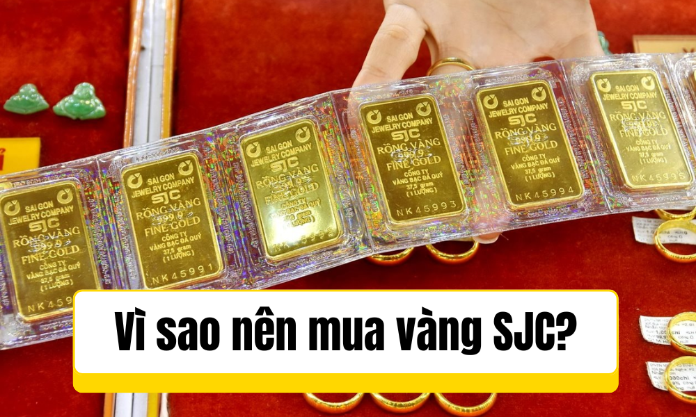 Vì sao nên mua vàng SJC