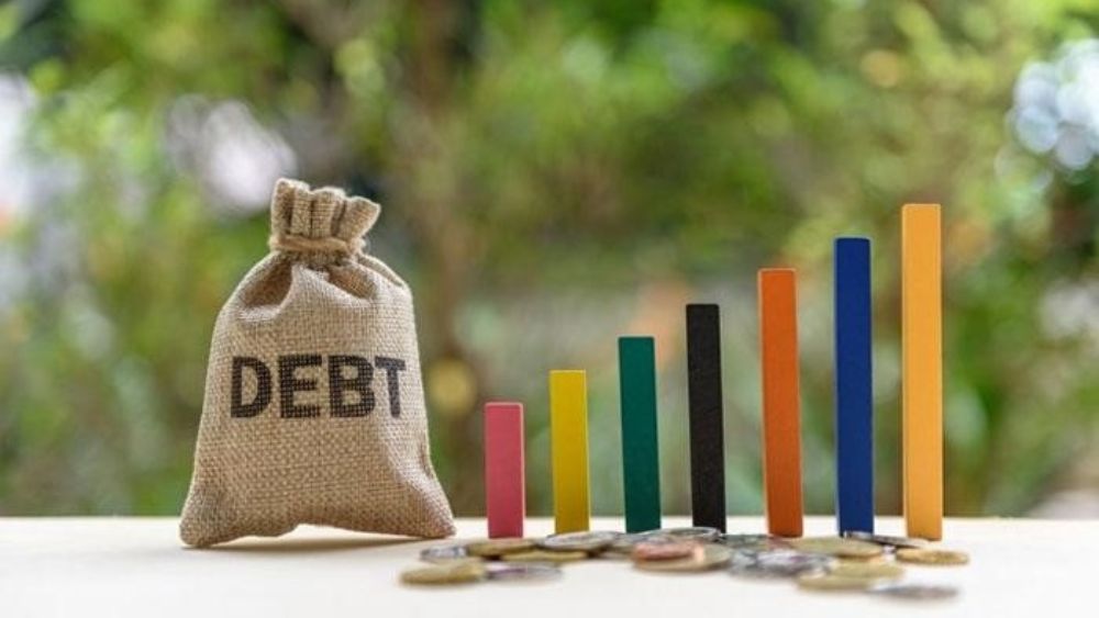 Phân loại dư nợ vay theo tổ chức tín dụng