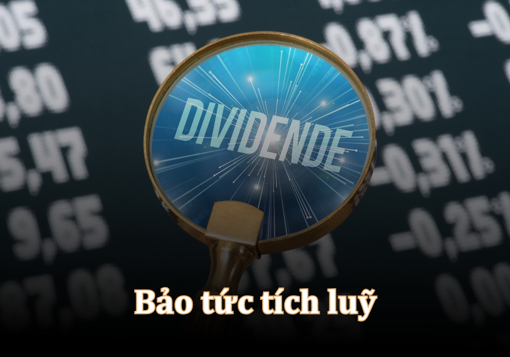 Bảo tức là gì có những loại nào
