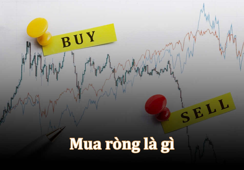 Mua ròng là gì