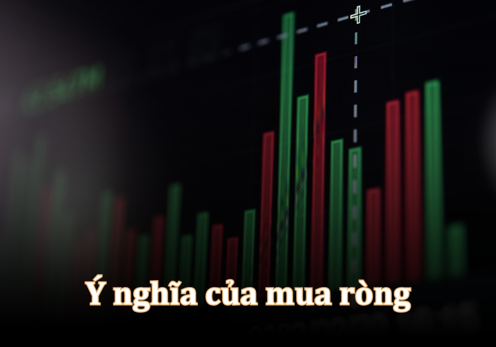 Ý nghĩa mua ròng là gì